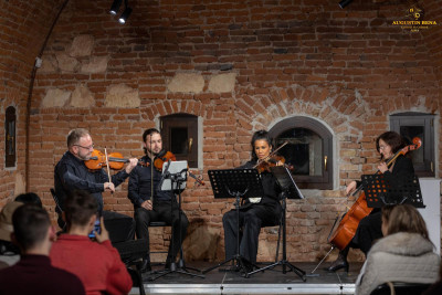 Orchestra de cameră a județului Alba
