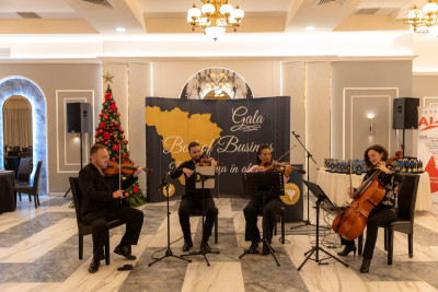 Orchestra de cameră a județului Alba